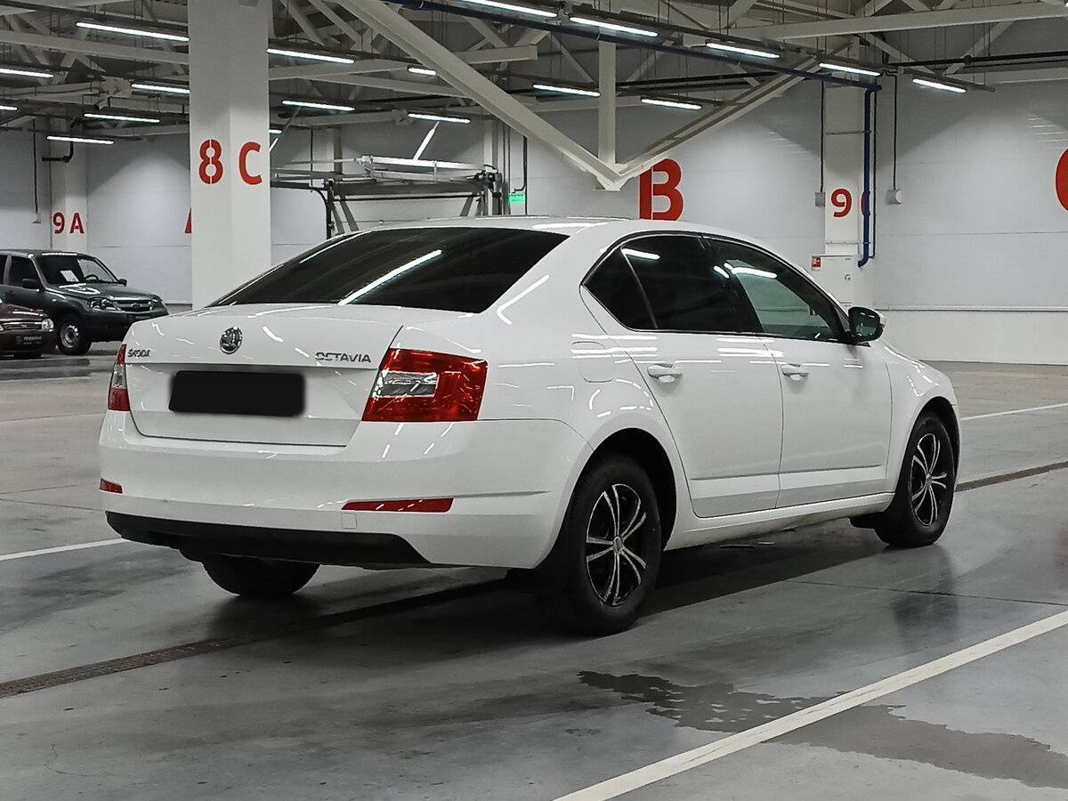 Skoda Octavia, 2013 Фото №5
